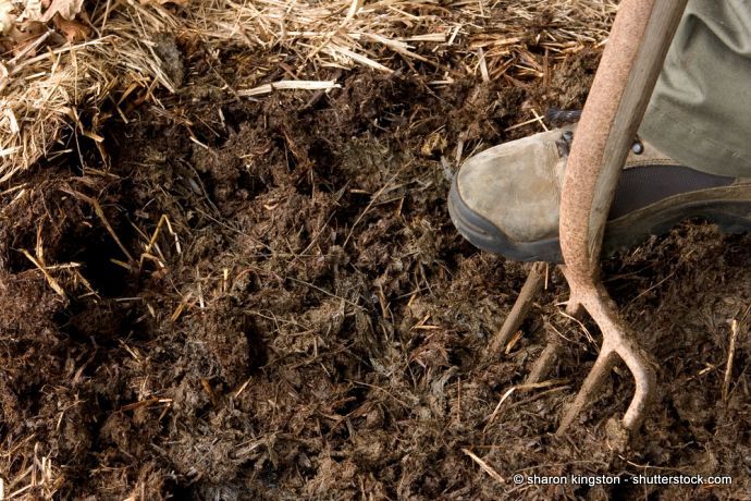 Rindenmulch