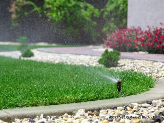 Automatische Gartenbewässerung mit Sprinkler | Bild: Mariusz Blach fotolia.com