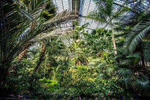 Palmengarten in Frankfurt am Main | Bild: parallel_dream fotolia.com