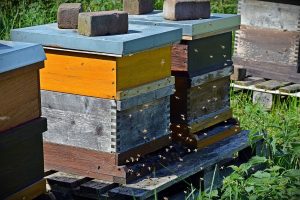 Bienenkisten übereinander