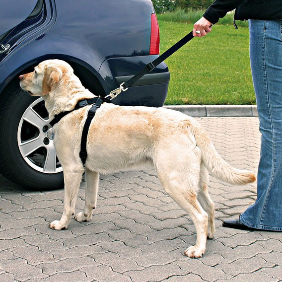 Sicherheitsgurte für Hunde TRIXIE Größe M