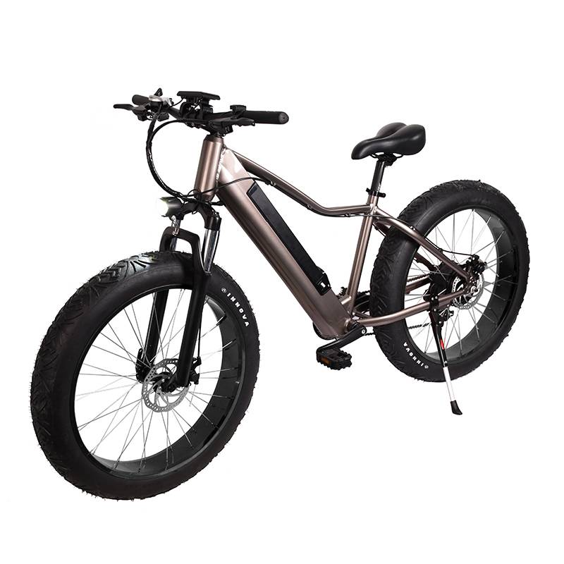 Elektro Fatbike, Elektro Fahrrad, Mountainbike, Fat Tiere Subcross 500