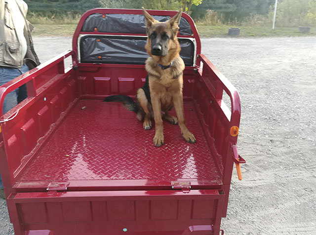 Cargo Muli 300 Tuk Tuk Transporter rot